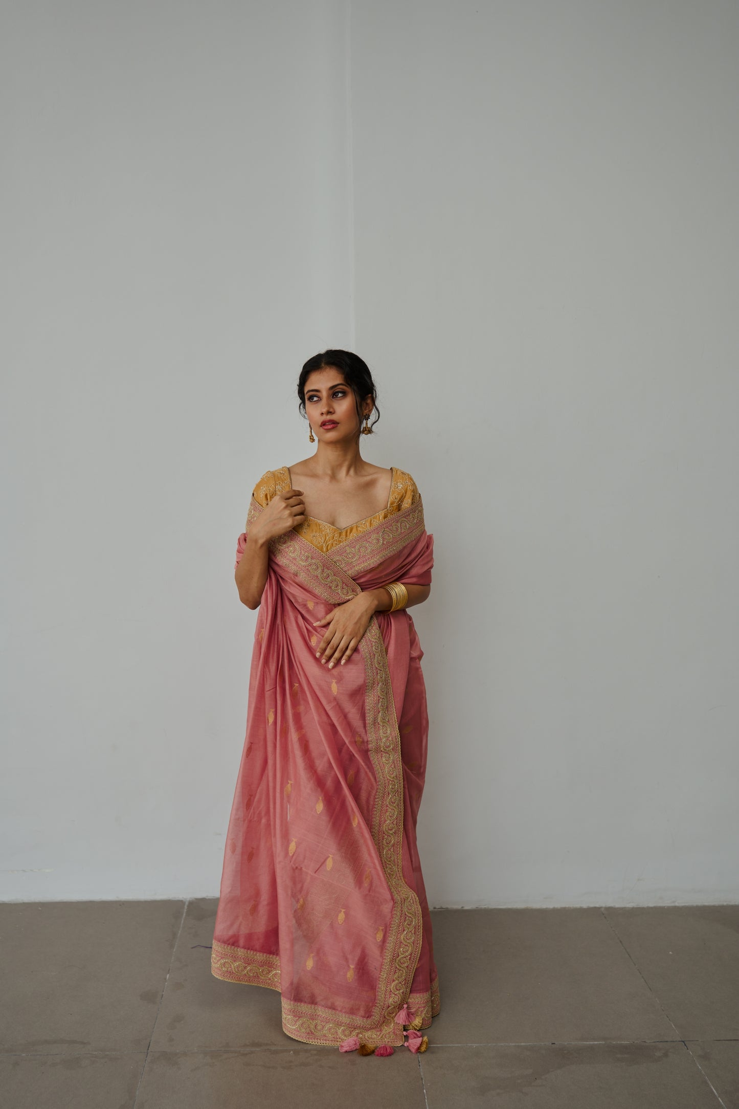 Anchovies Saree